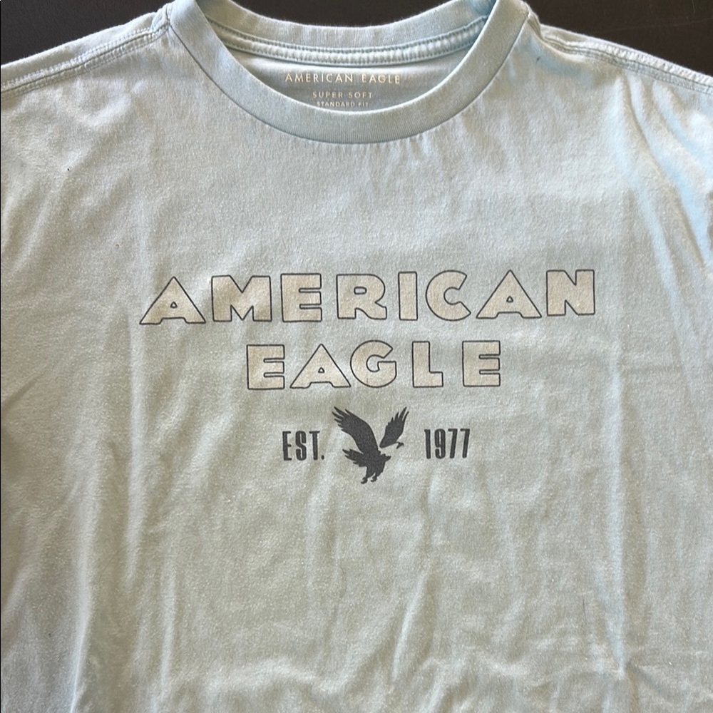 American Eagle Outfitters Men’s Blue Short Sleeve Graphic Tee Shirt-CLEAN!